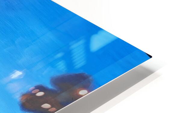 2775608 :: HD Sublimation Metal Print