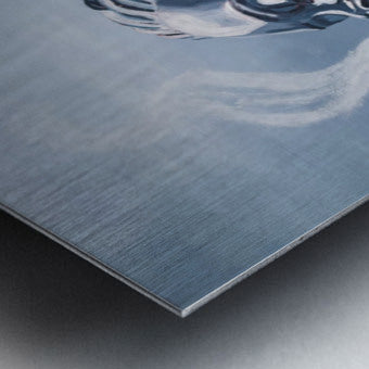 2775610 :: Brushed Metal Print