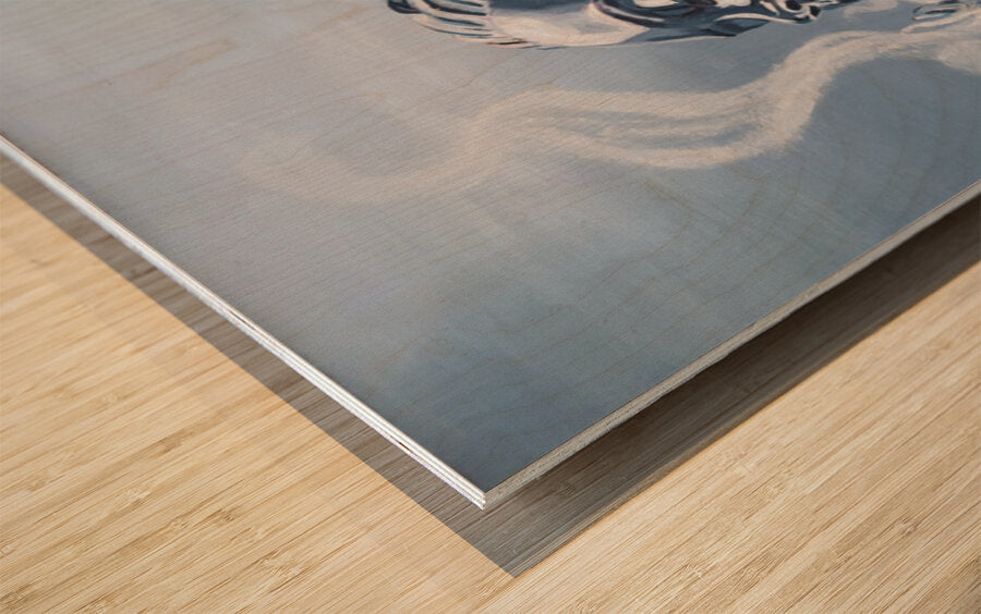 2775610 :: Wood Print